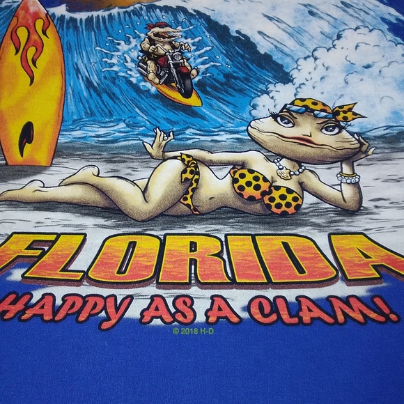 HARLEY DAVIDSON 2018 PANAMA CITY BEACH FLORIDA - Picture 2 of 12